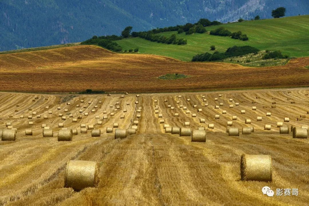 梵高文森特作品大全,文森特梵高的全部作品及介绍