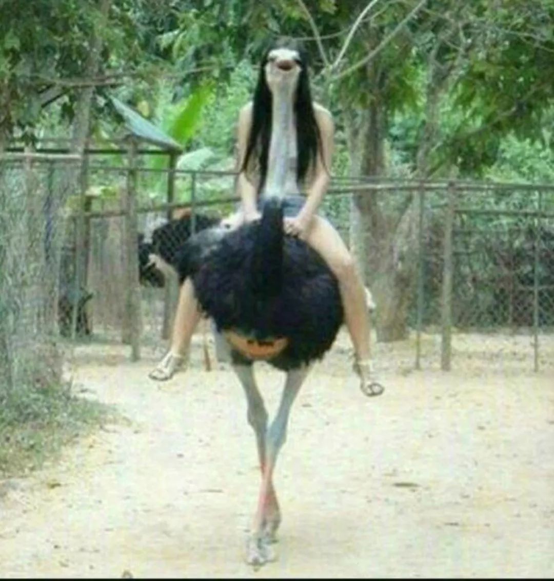 不小心看到父母的对话,发现妈妈和老公聊天记录怎么办