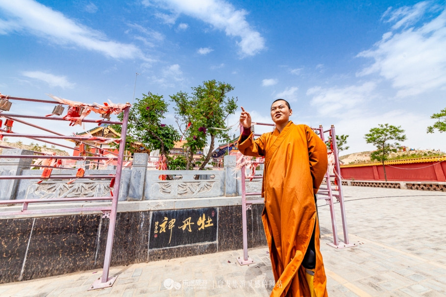 他让高寒干旱地开满牡丹花，打造西北牡丹第一园