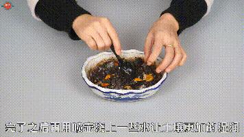 苹果烂了别扔越乱越值钱,苹果烂了千万别扔掉有妙招