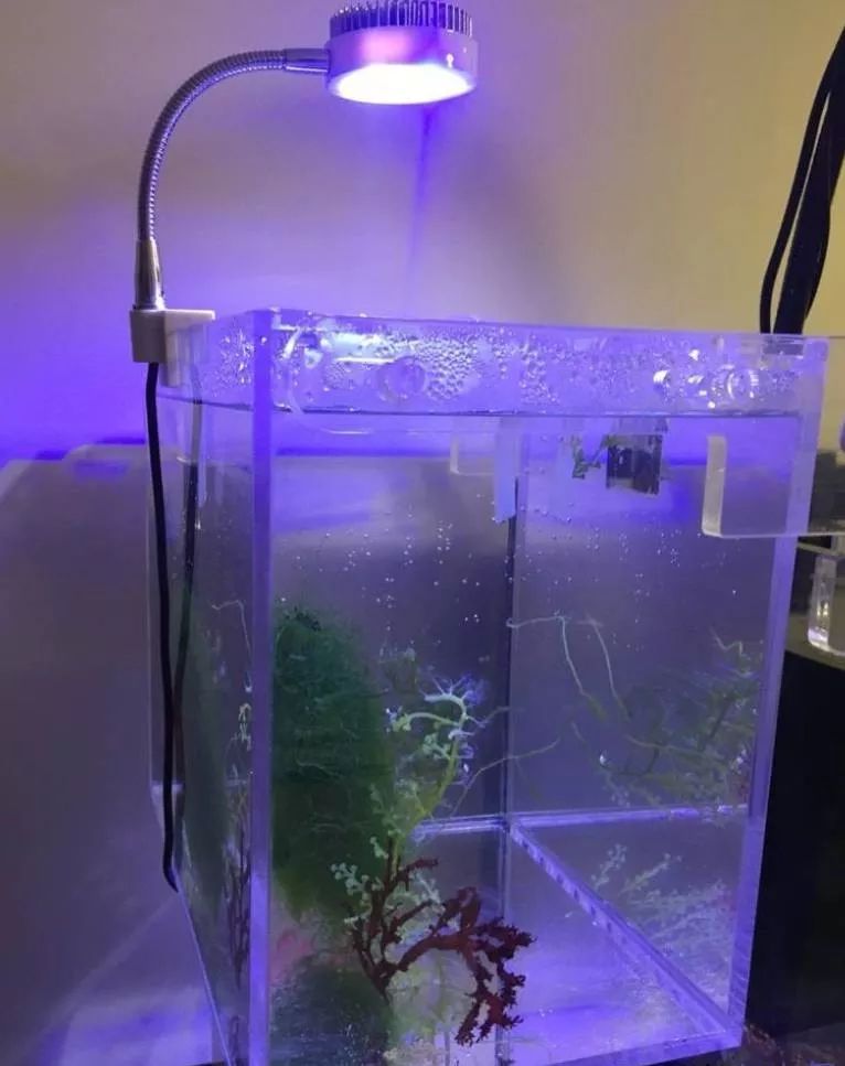 校准ph偏低,ph数值低