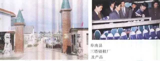 老照片100张阜阳三角洲,高清阜阳八十年代照片