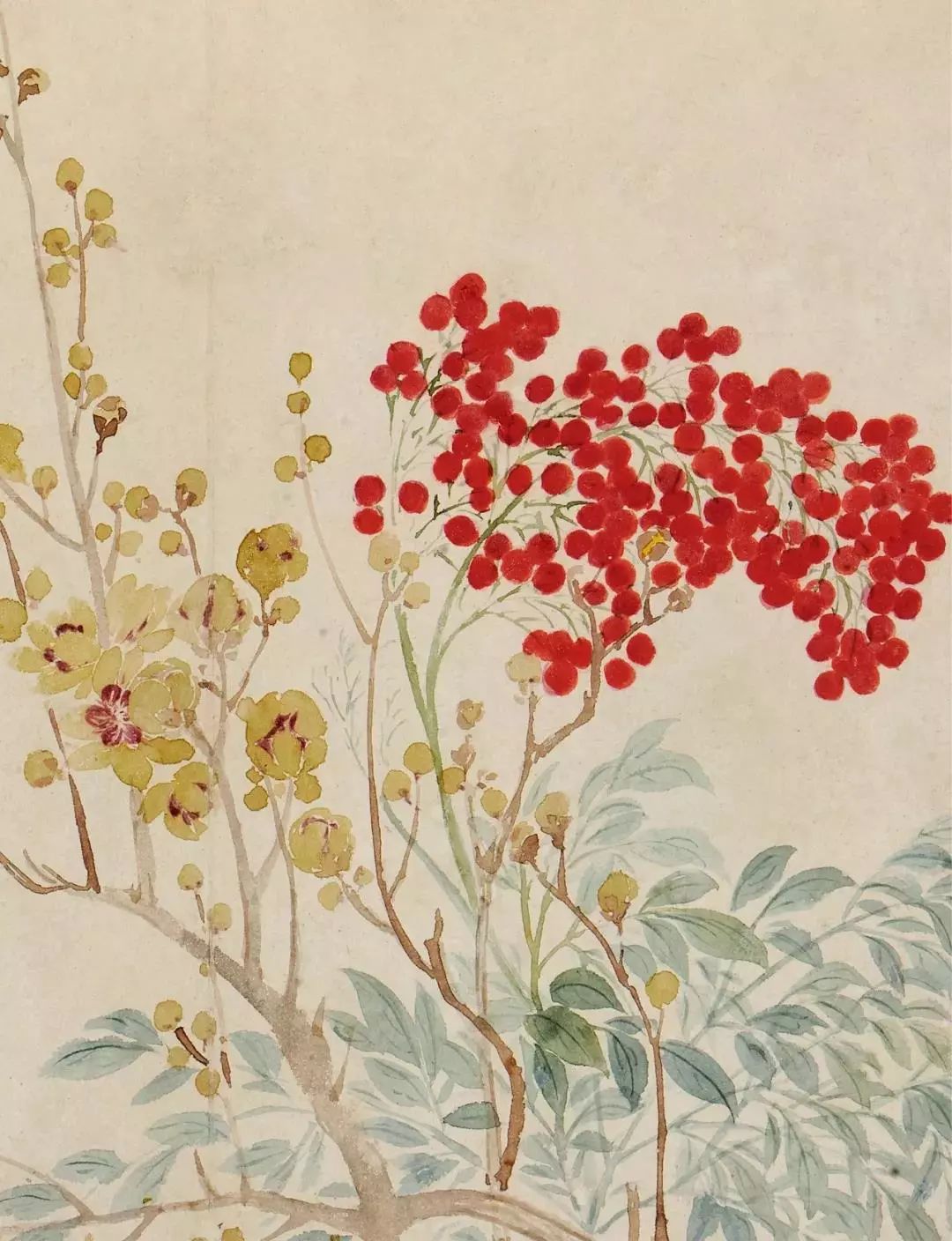 恽寿平的经典花鸟画作品,恽寿平花卉重绘高清图