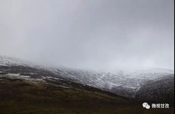 守卫虫草山民警,驻守海拔4800米护航虫草采挖