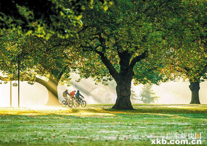 空气湿度97%,95%的空气湿度好吗