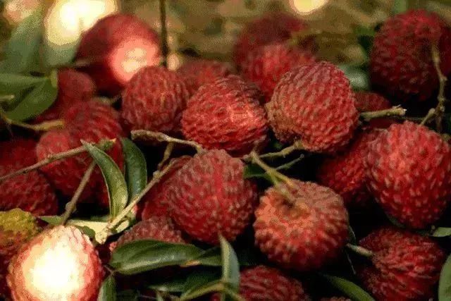 荔枝吃多了竟会得“病”！三颗杨梅下肚呼吸困难？很多人毫不知情