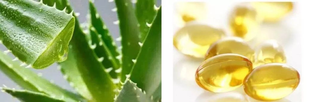 防水防汗防晒防脱妆的气垫,防汗防水不脱妆持久气垫