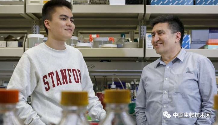 生殖细胞基因,细胞基因治疗最新进展