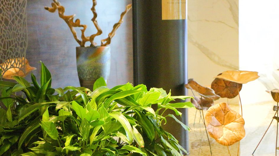 端午将至，解锁家庭出游新体验，与假日酒店一起尽享欢乐