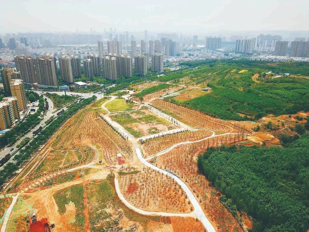 洛阳游乐设施公园,洛阳城市运动公园儿童游乐