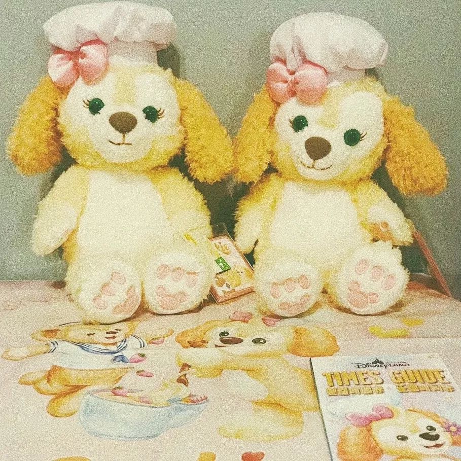 为了迪士尼，我决定搬回东京了