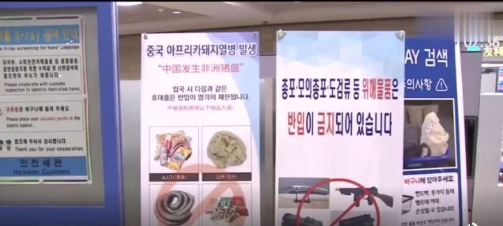 出境游必带物品清单,出国旅游必须知道的15个常识