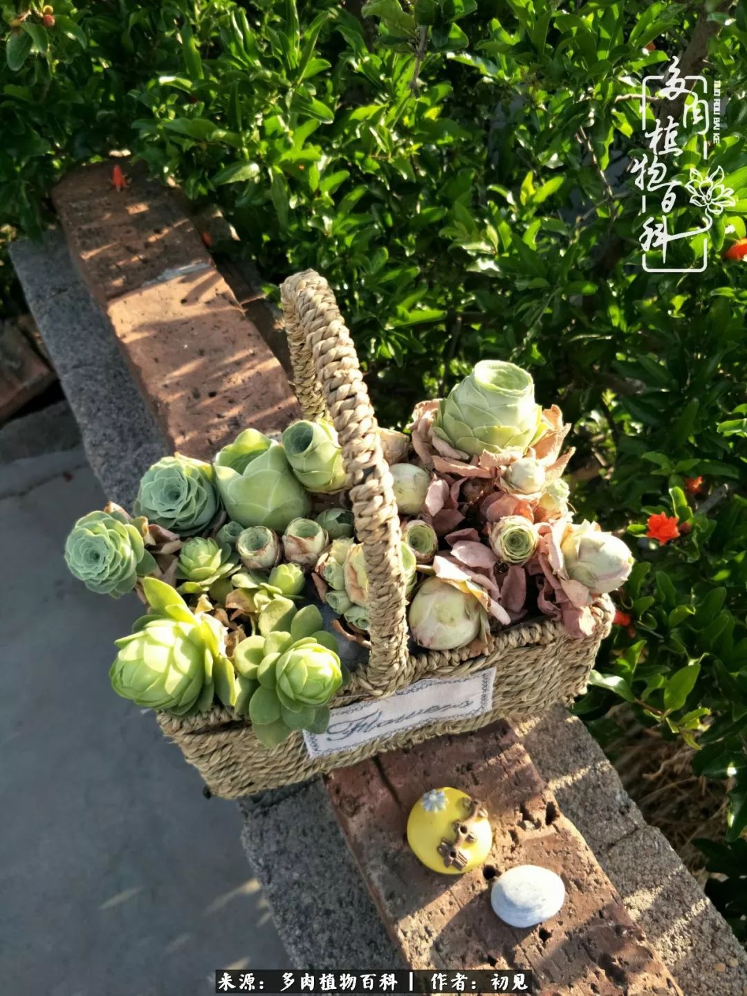 紧张的高三生活也需要适度的放松,紧张焦虑高考