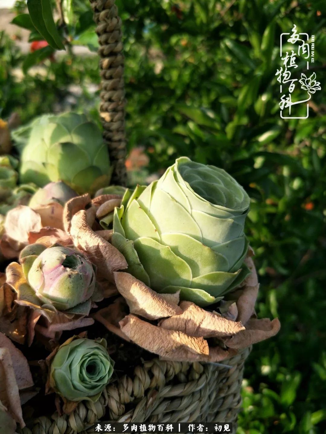 紧张的高三生活也需要适度的放松,紧张焦虑高考