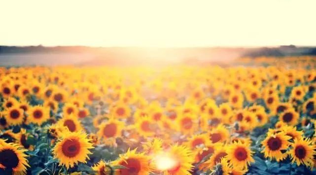 郑州跻身全国前5,金榜题名全国各省排名