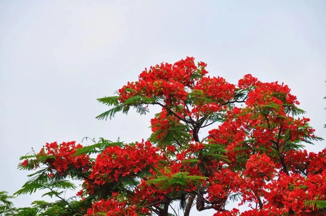 厦门适合带孩子去玩的地方推荐,厦门6月份哪里好玩