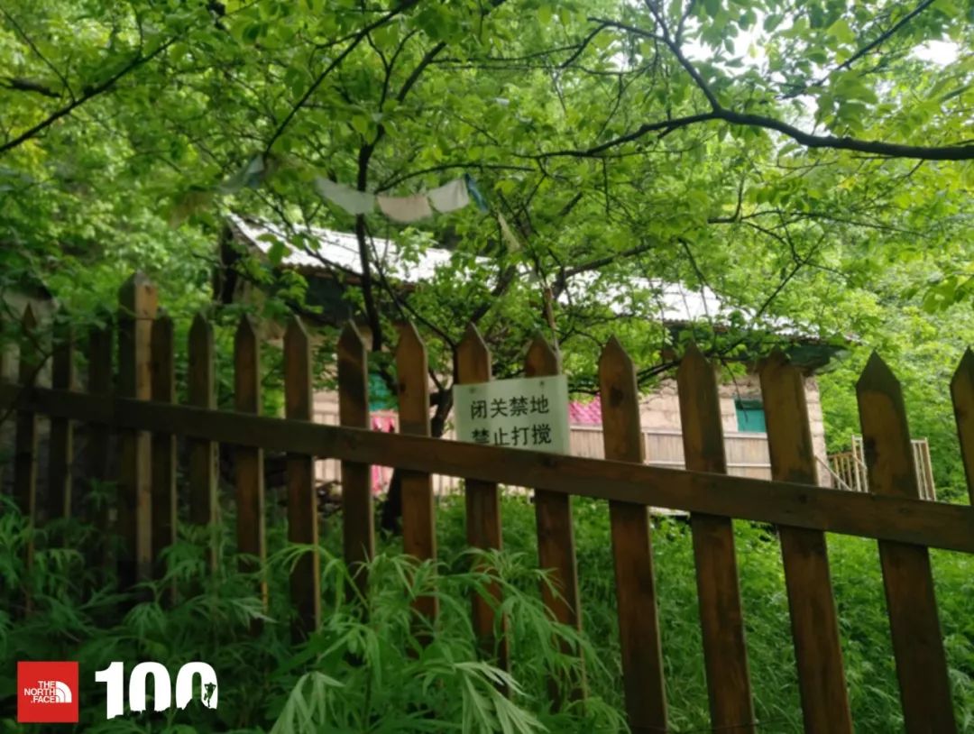 tnf100官网成绩查询,tnf100秦岭国际越野跑