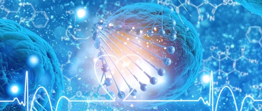 救命“狗药”，新的希望还是空想？