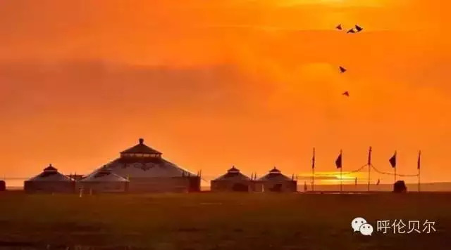 呼伦贝尔牙克石十大旅游景点,呼伦贝尔大草原收藏