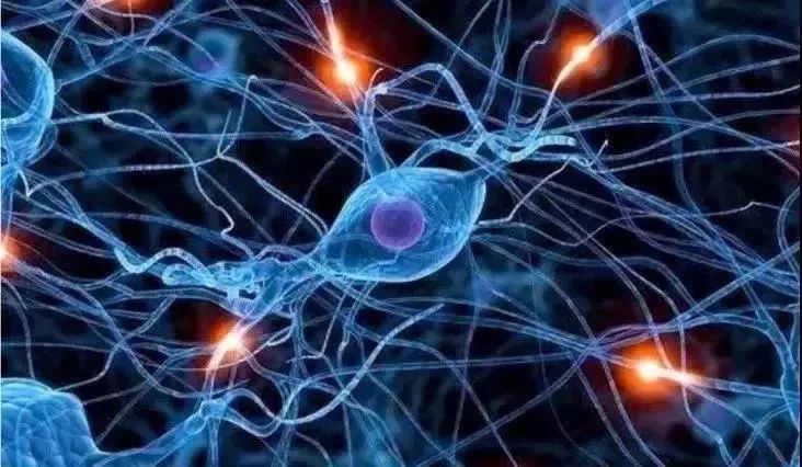 提神鼻吸真的可以防晕车吗,防晕车鼻吸推荐