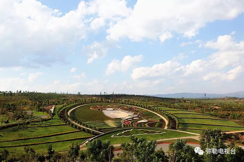 弥勒美食必吃推荐,云南弥勒美食野生菌