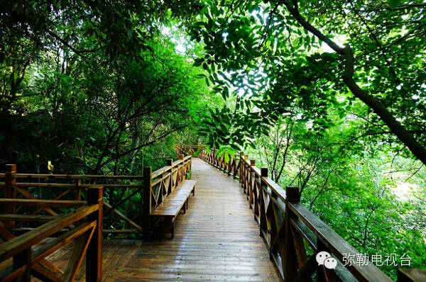 弥勒美食必吃推荐,云南弥勒美食野生菌