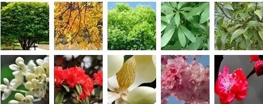 弥勒美食必吃推荐,云南弥勒美食野生菌