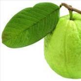 中国长城股吧000066,中国长城股吧同花顺