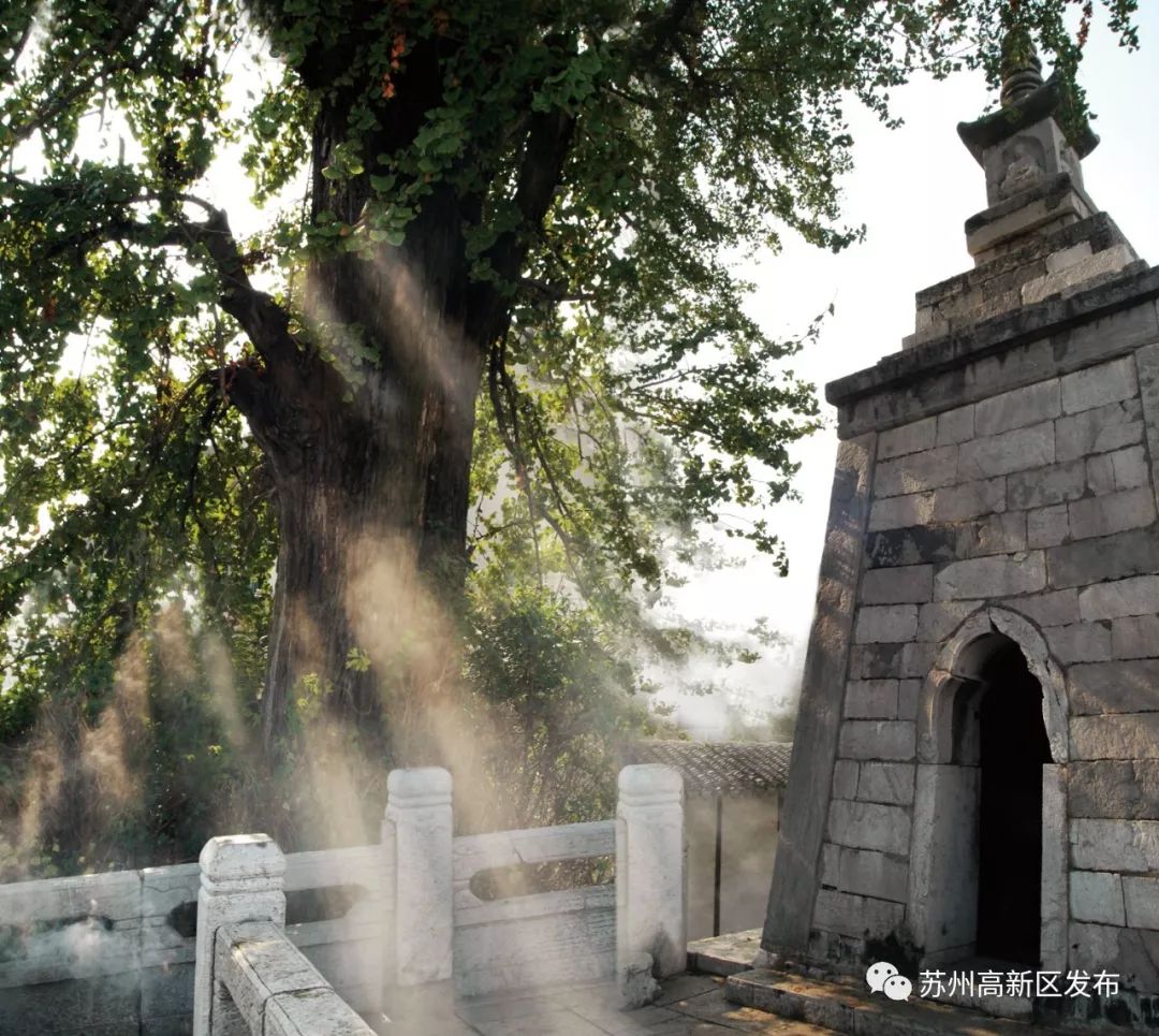 请回答2017,请回答2020总结