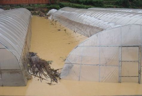 暴雨受灾地区可以自救么,暴雨农作物受灾地区有哪些