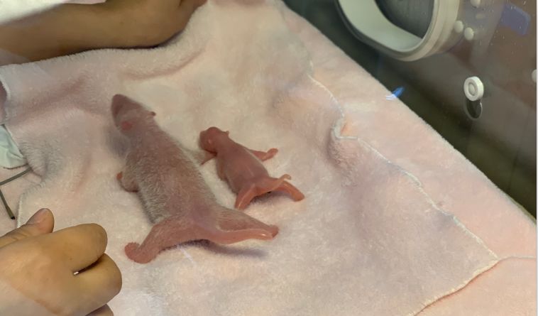 找工作别错过节后的线上招聘会,招聘会2024时间表最新