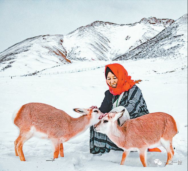 人民日报年度最佳照片,人民日报推荐的好照片