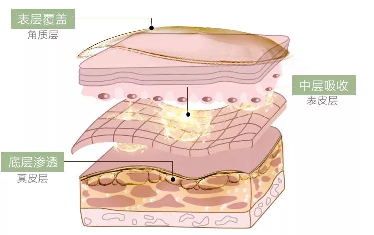蛋白贴去皱,胶原蛋白颈纹贴