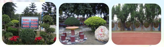 珍贵老照片1996,佛山珍贵老照片视频