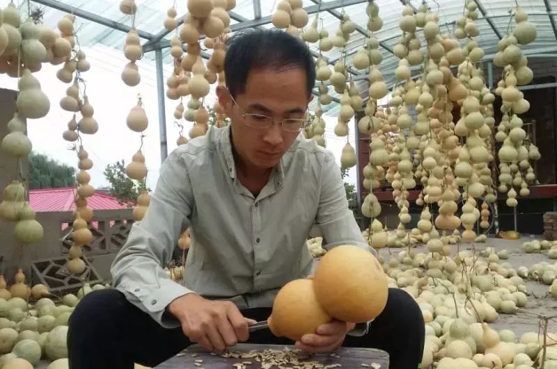 邢台市第八批非遗什么时候授牌,邢台市申报非遗