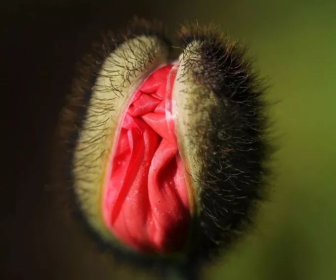 70%患者初诊竟已是晚期！成都专家疾呼：这样做尽量远离“女性杀手”！