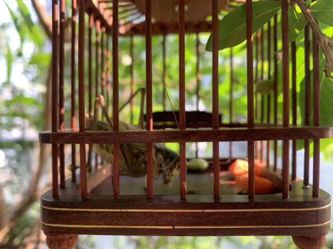 打造美好幸福的家,打造一片天地