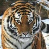 北新路桥中吉乌铁路,北新路桥股吧2021目标价