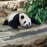 维维股份股吧东方财富网,维维股份股吧怎么样