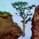 山鹰纸业股票股吧评论,山鹰纸业股吧山鹰国际2019年报