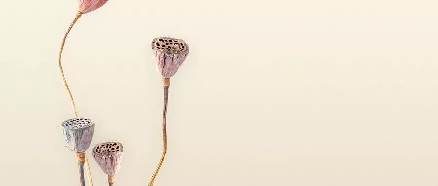 50以后切除卵巢对身体有什么影响,切除了卵巢