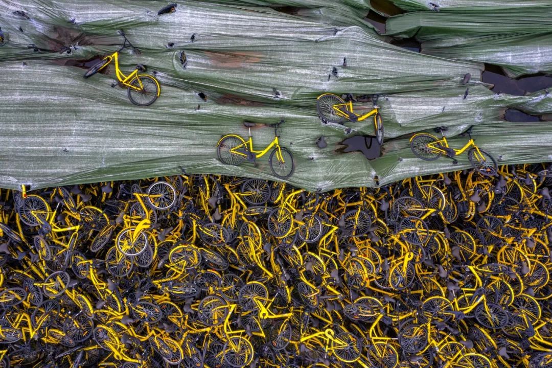 ofo的终场,ofo最后的结局