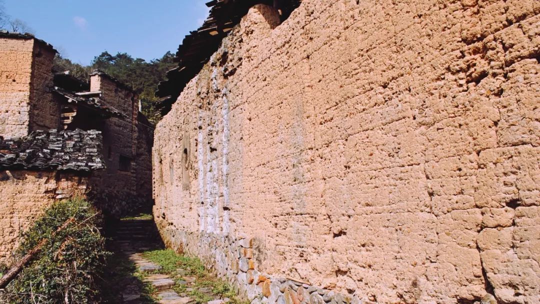 在宁德洋头，过了一段忘不掉的小生活！