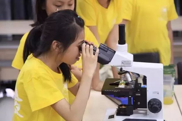 辰山植物园最近有什么活动,动植物园夏令营