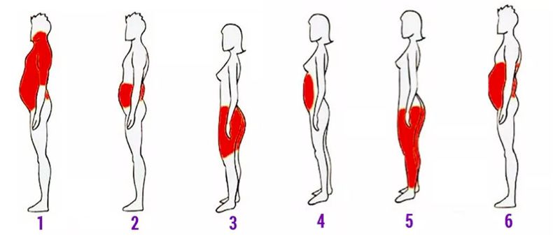 网红小花完整视频,网红小花的视频