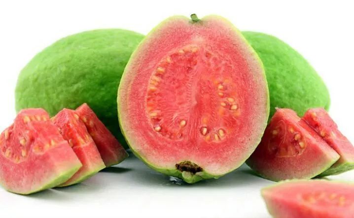 四季都结果梨树,台湾四季梨