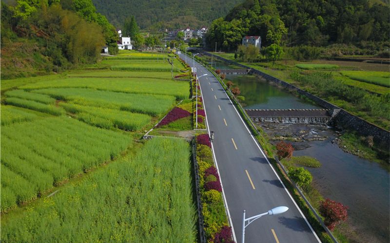 家门口的河道颜值内涵双提升,家门口的河道变美了