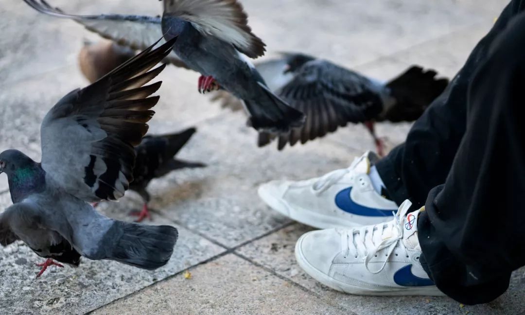 lv运动装时装秀,lv运动潮流