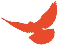 英国进口红茶代购,进口红茶代理