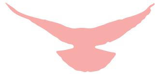 辉煌70载，娃娃送华章——我区举行喜迎建国七十周年消夏晚会